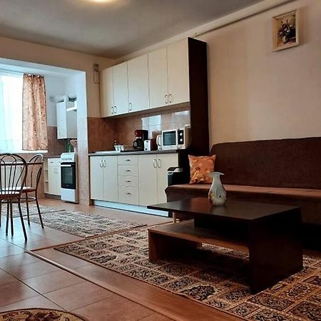 Spacious quiet flat, free parking included Floreşti Exterior foto