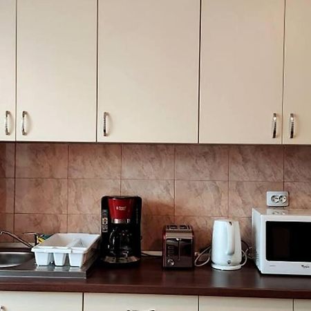 Spacious quiet flat, free parking included Floreşti Exterior foto