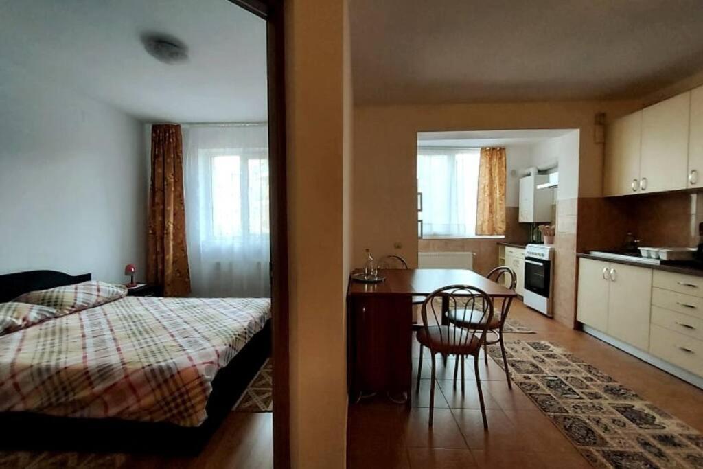 Spacious quiet flat, free parking included Floreşti Exterior foto