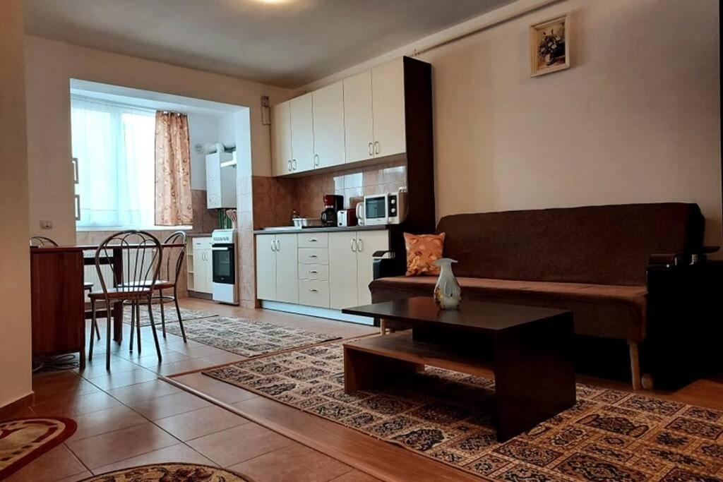 Spacious quiet flat, free parking included Floreşti Exterior foto